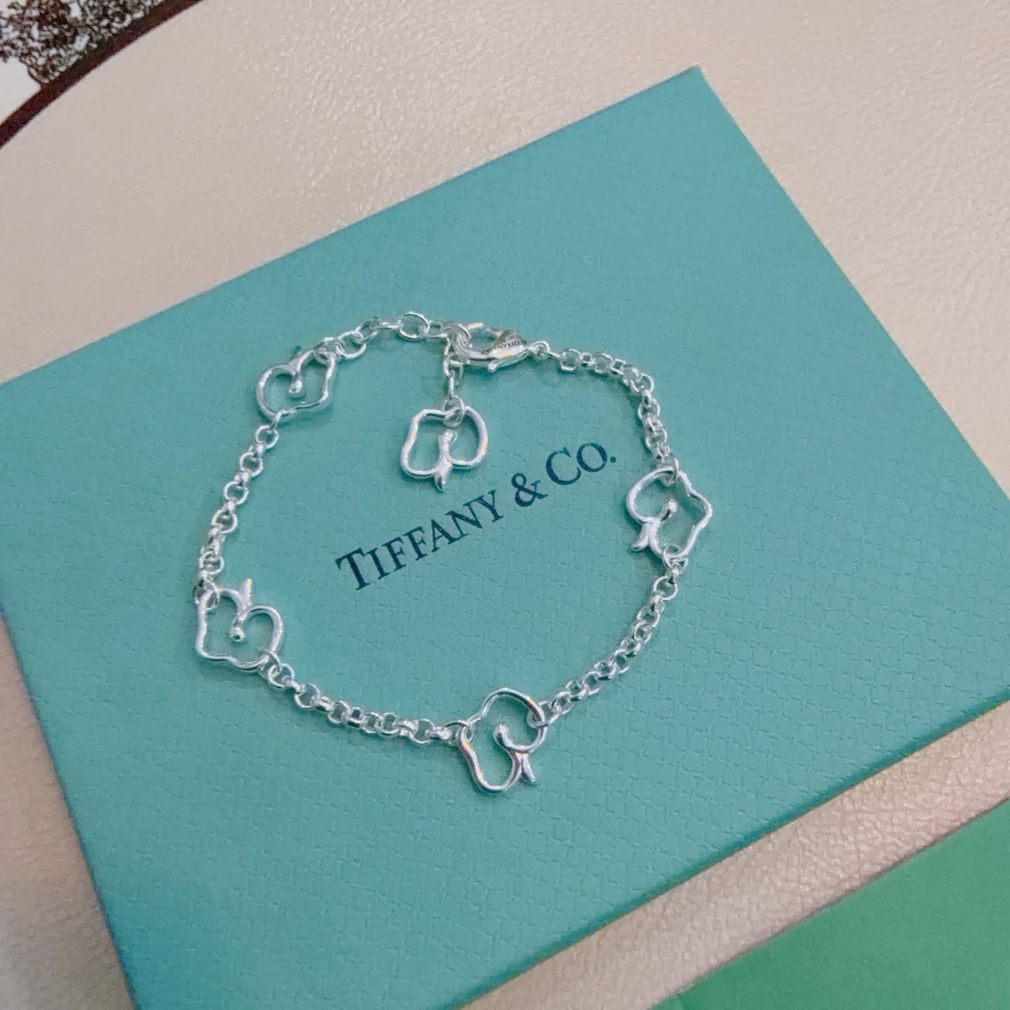 Tiffany & Co. Blue Box Charm Bracelet